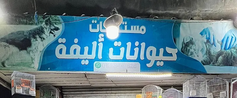 حيوانات ألفية